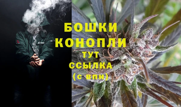 хмурый Нея