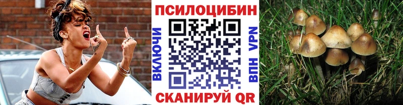 Галлюциногенные грибы прущие грибы  Москва 