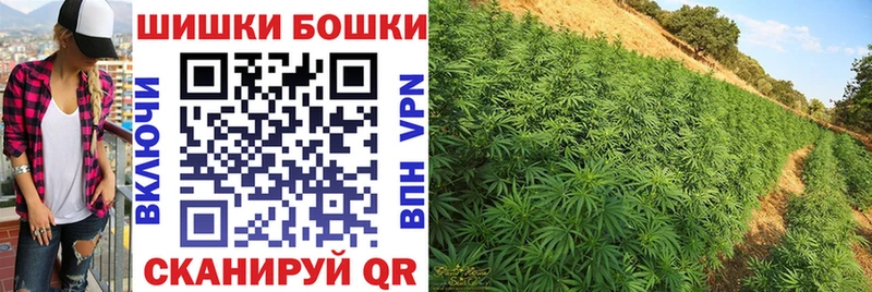 Бошки марихуана семена  купить наркотик  Москва 